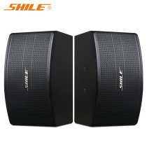 Lion Music SHILE KTV-04 Professional KTV Speaker Home Karaoke Multi Function Hall 10 Inch Card Bag Acoustics