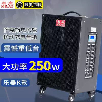 Michael MG1263A-LI saxophone electric blowing tube high power sound acoustic guitar 250 watt musical speaker