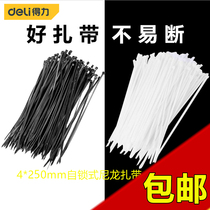 Del self-locking nylon cable tie tie tie wire tie with white black cable tie DL9446 DL9447
