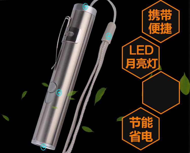 Mini USB sạc nhỏ đèn pin nhà y tế chiếu sáng ngoài trời ánh sáng màu tím giả ánh sáng huỳnh quang đại lý bút phát hiện đèn pin mini