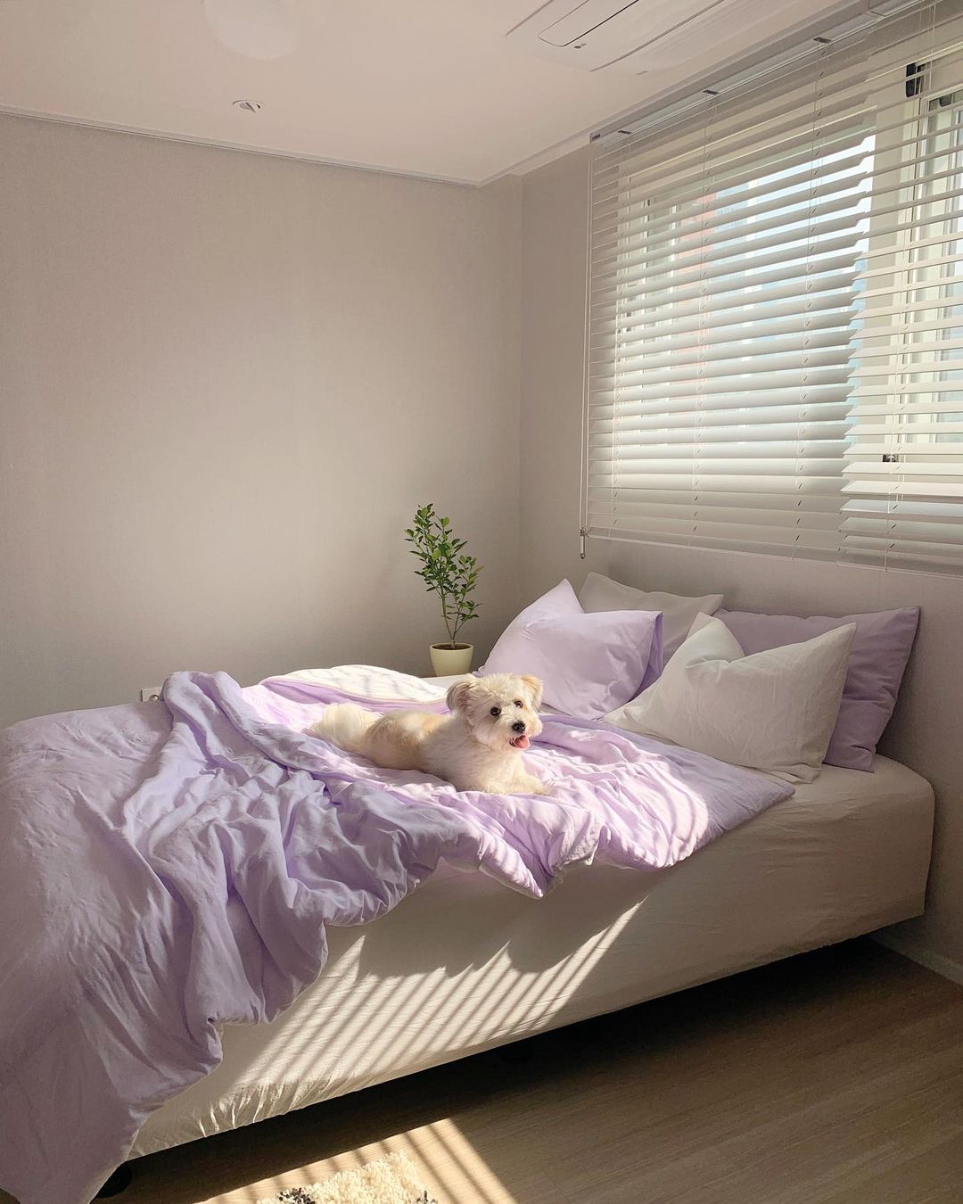 Pear dream homemade two-sided use series ins blogger with the same style of pure cotton washed cotton four-piece set fairy purple