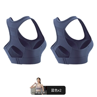 Тибетский синий+тибетский синий