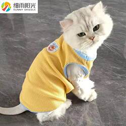 Cat Autumn Clothes Kitten Autumn Hair-Proof German Autumn Outgoing Special Fashion Vest Silver Gradual Autumn Clothes