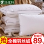 Yixuan xanh lông nhung gối lõi lõi có thể giặt được đốt sống cổ gối đơn gối kymdan