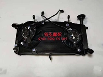 Money Hiromoto fit Benali BJ750GS 752S Water cooled radiator tank fan assembly