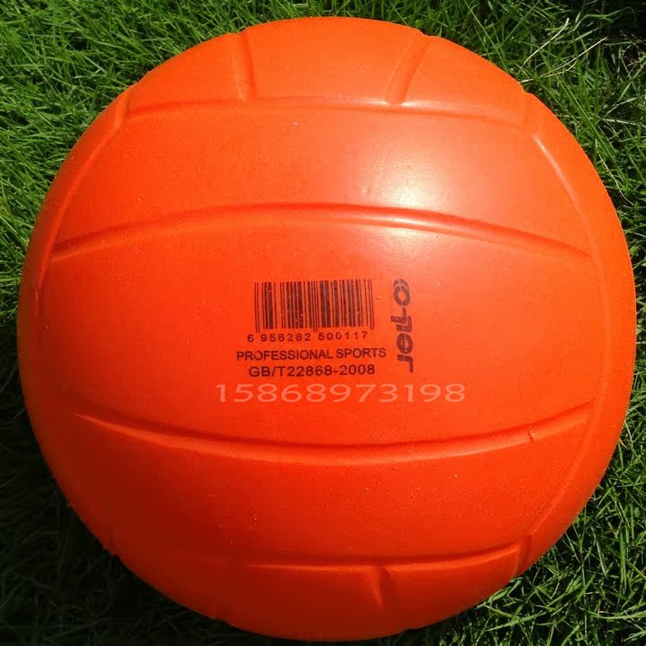 Ballon de volley - Ref 2010333 Image 3