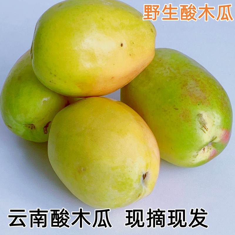 Yunnan Lincang sour papaya 5 catties wild safflower papaya sour and crispy old papaya fruit stewed chicken soaked in wine Dali papaya