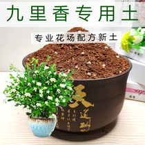 Jiuli Xiang special soil Qingxiang Wood soil mosquito repellent plant general nutrition soil weak acid flower clay potted flower soil