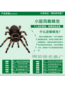 Новый продукт Small Tornado Spider Pool Program Pro2.95 Автоматическая коллекция веб -сайта для улучшения веса веб -сайта для улучшения веса веб -сайта.