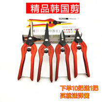 Multifunctional Korean spring scissors chain scissors wire scissors handmade scissors short mouth 160MM long mouth 195MM