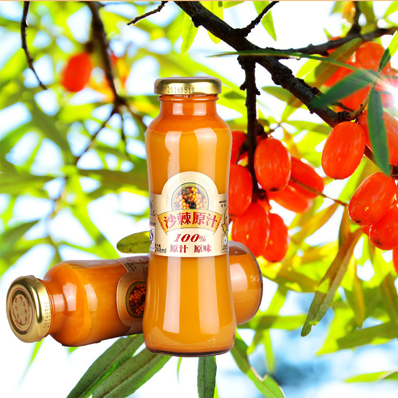 Liglow Sea Buckthorn Juice Xinjiang Teryield Hui Hua Sacred Fruits Sea Buckthorn Raw Juice Sea Buckthorn Raw pulp original flavor 248m * 1