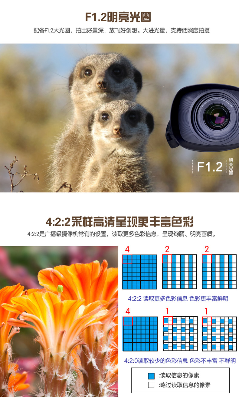 Trả góp SF quà tặng giao hàng JVC / Jie Wei Shi GY-HM170EC Camera 4k full HD - Máy quay video kỹ thuật số máy quay phim chuyên nghiệp