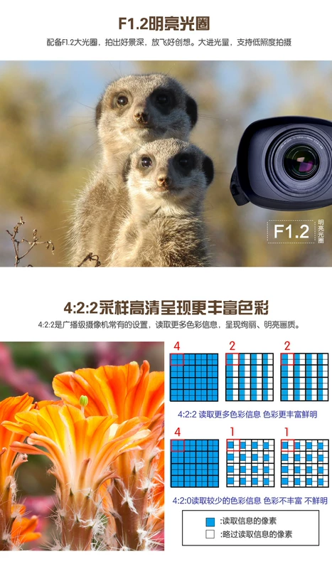 Trả góp SF quà tặng giao hàng JVC / Jie Wei Shi GY-HM170EC Camera 4k full HD - Máy quay video kỹ thuật số