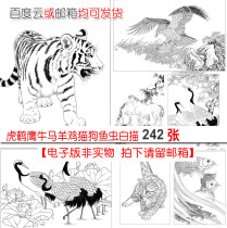 Gongbi painting white sketch manuscript line drawing Gongbi animal white sketch 242 high-definition electronic version of the essential material for beginners