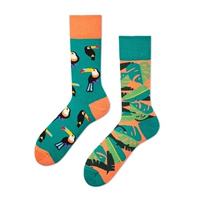 Длинный попугай