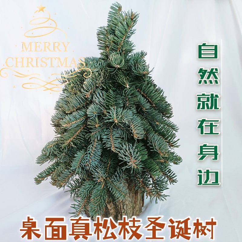 Natural Genuine Pine Branches Christmas Gift Nobe Substitute Creative Gift Desktop Christmas Tree Real Tree Diy Material Bag