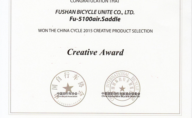 Selle de vélo Mountain Bike CHAUNTS - Ref 2359422 Image 49