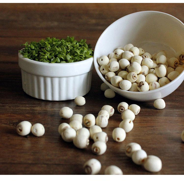 Siming Mountain White Lotus without core need not immerse Xianglian Xiang Xiang Xiang Xiang Xiang Xiang Xiang Xiang Xiang Xiang Xiang Xiang Xiang Xiang Xiang Xiang Xiang Xiang Xiang Xiang Xiang Xiang Xiang Xiang Xiang Xiang Xiang Xiang Xiang Xiang Xiang Xiang Xiang Xiang X