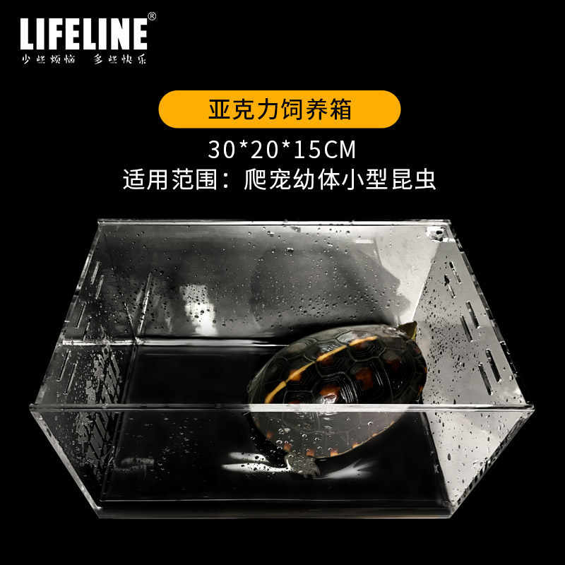 Lifevee Reptile Transparent Acrylic Box Breeding Box Breeding Box Breeding Castry Acrylic Box