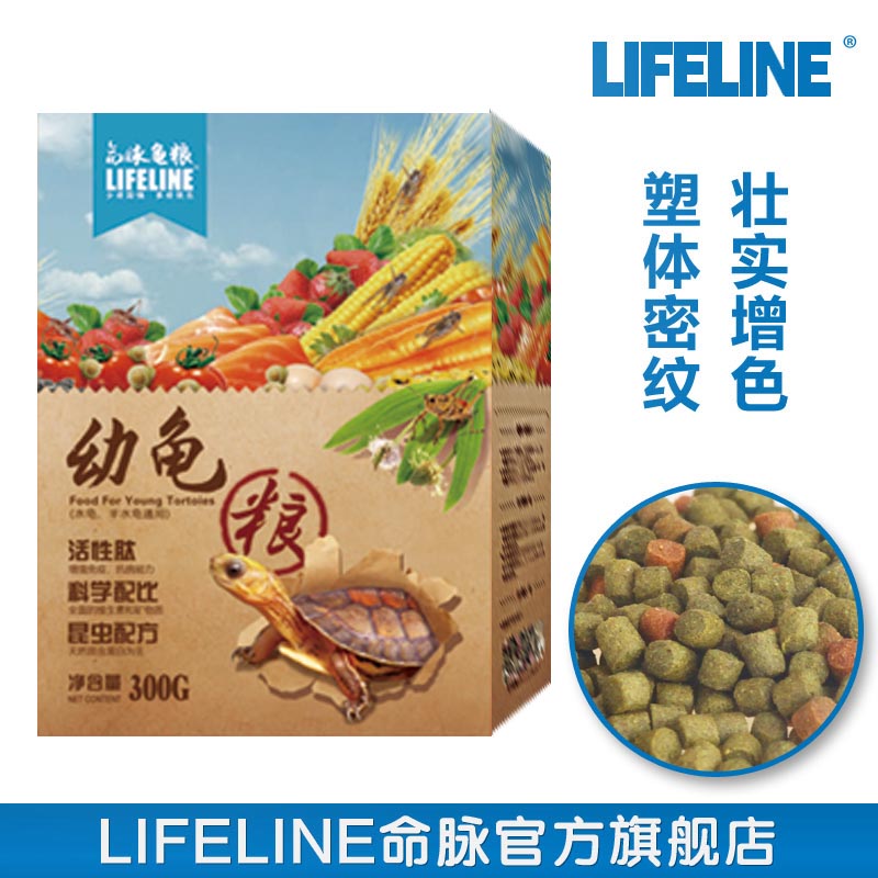 Lifeblood turtle feed turtle grain opening grain universal amphibious tortoise half water young avocado Brazilian grass small tortoise tortoise-Taobao