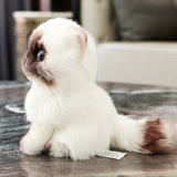 Реалистичная плюшевая игрушка, милая детская тряпичная кукла, котенок, кот, подарок на день рождения