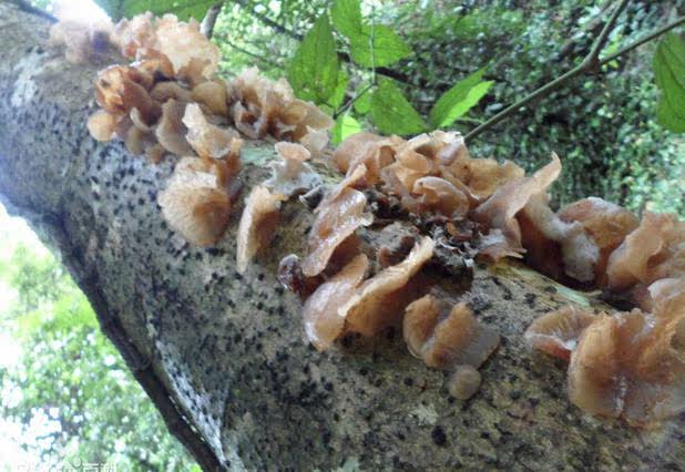 QQ Screenshot 20140703175208