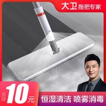 David water spray mop flat mop hand-free 2021 new household spray lazy people a mop wood floor clean mop