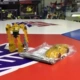 Tav Hornet Special 832072