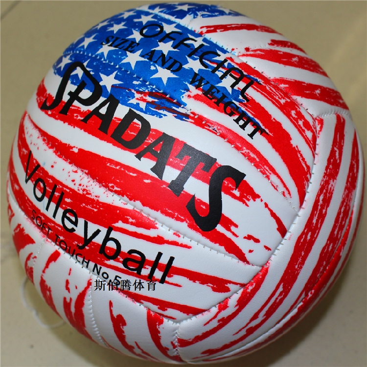 Ballon de volley-ball - Ref 2009804 Image 33