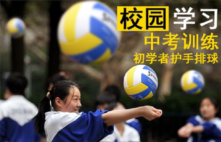 Ballon de volley-ball - Ref 2007930 Image 10