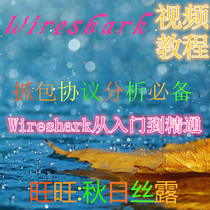 Wireshark essential video tutorial from getting started to being proficient in packet capture protocol analysis