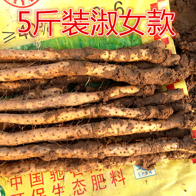 Authentic Henan Jiaozuo iron stick Yam Wenxian Baotu Huai Shan Medicine Huai Shan iron stick Mountain about 5 pounds