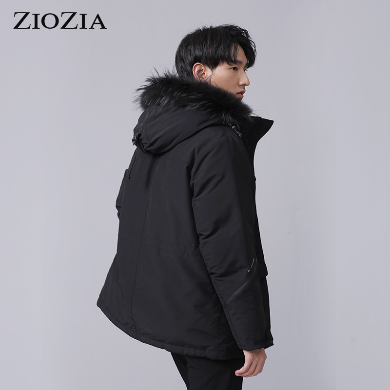ziozia jacket price