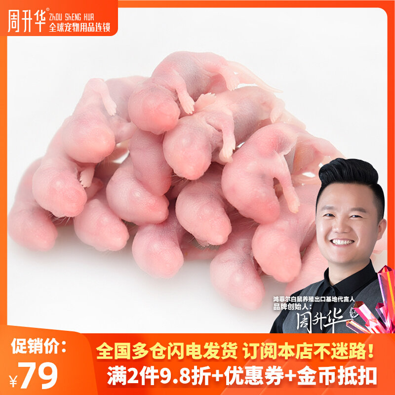 Red-skin rat frozen rat natural cat food grain bird lizard feed corner frog feed mice larvae feed snake food