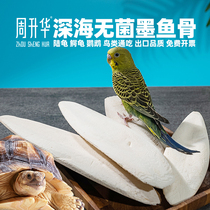 Sterile original ecology cuttlefish bone skewers Chinese medicine tiger skin cockatiel bulk molar turtle pearl bird calcium supplement bone