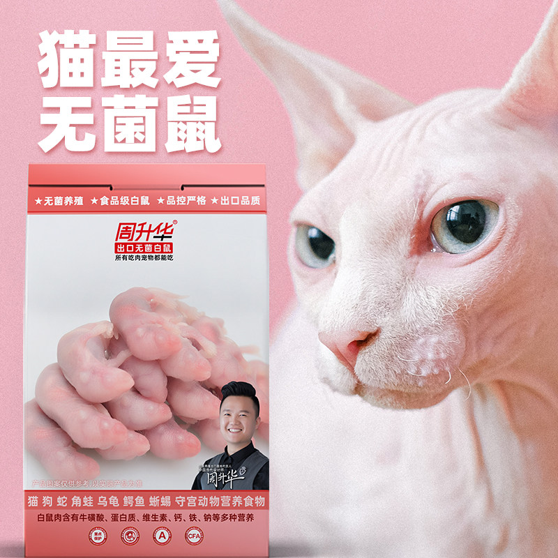 Sterile red skin by pound live mice frozen rats natural cat crocodile horn frog mice feed snake feed