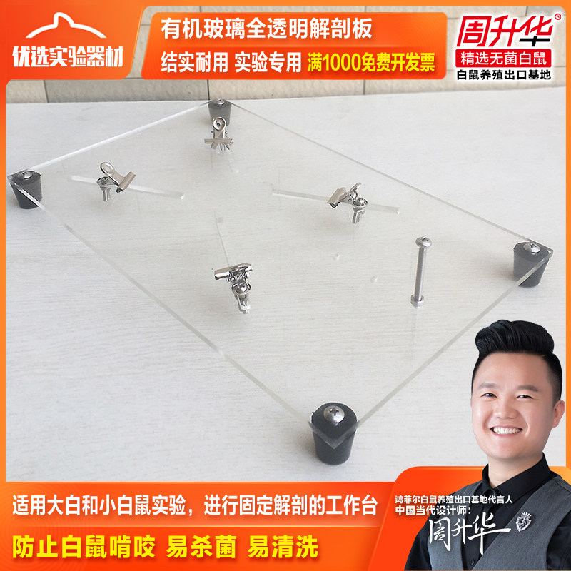 Large and small white mouse experimental equipment plexiglass fixer dissection board ZK-JPB-C clip workbench frog board, etc.