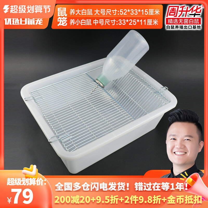 Rat cage mice in rat cage rat rat full size rat lab cage experiment G breeding mice