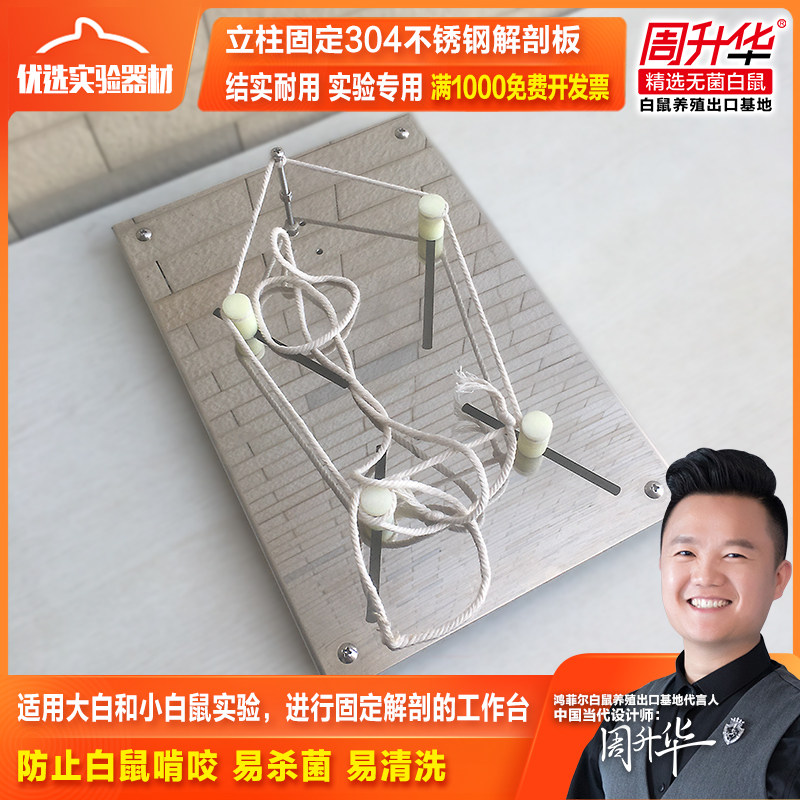 Large and small white mouse experimental column fixer anatomical plate ZK-JPB-B stainless steel plate binding table frog board workbench