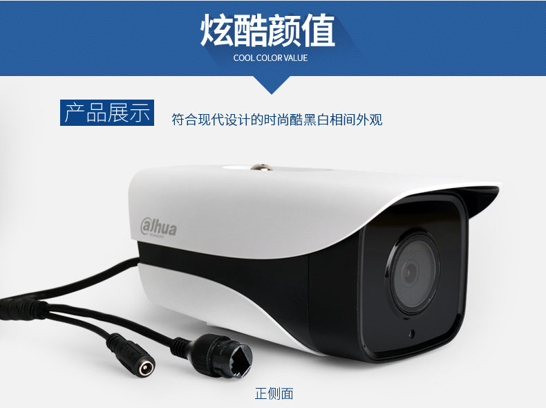 DH-IPC-HFW4631M-I1_09.jpg