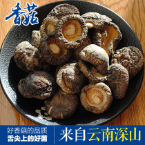 Yunnan Lijiang Snow Mountain Plateau Special Select Shiitake Mushroom 500g