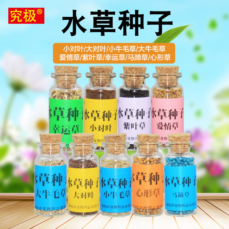 Water seed fish tank foreground straw fur size for leaf mini-low love grass purple grass lucky water seed