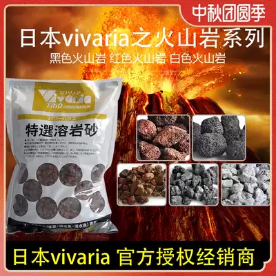 Japan vivaria fish tank filter volcanic rock filter material volcanic rock aquarium water volcanic rock