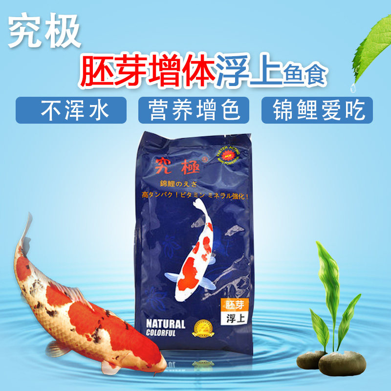 Study Pole Carp Feed Germ of Fish Food Aid Digestion Series 1kg5kg10 FLOATING WARM UP TROPICAL FISH FEED