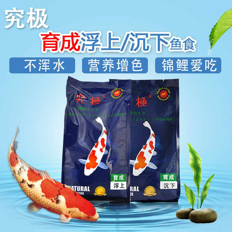 The study of the polar brocade carp feed into the booster digestion series fish food 1kg5kg10kg goldfish feed
