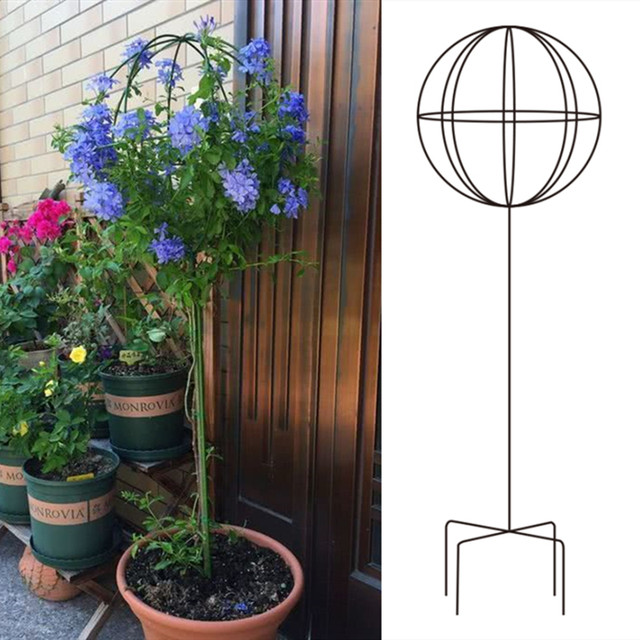 Windmill Jasmine Clematis ປີນພູ Pergola ສີຟ້າ Snowflake Lollipop Flower Stand Flower Pot Bracket Rod Iron Ball Shape