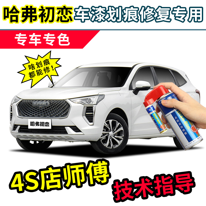 21 pieces of Haver First Love Tonic Lacquer Pen Chalk White Car Paint Scratches Repair Pencil Grey Sky Blue Green Spray Paint Jar