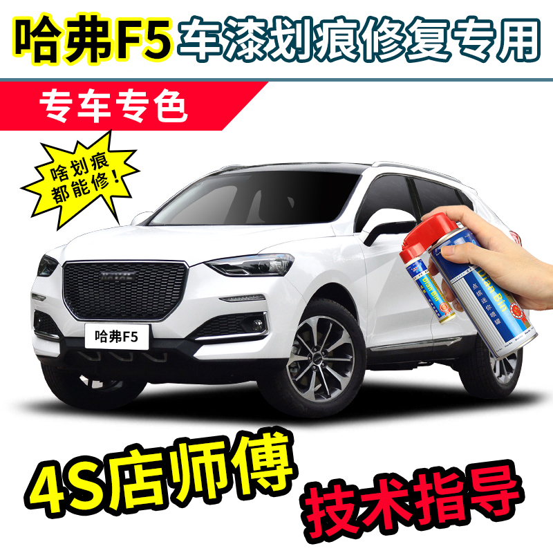 Haver F5 Tonic Lacquered Pen Pearl White Auto Paint Scratches Repair White Shark Red Eagle I Interesting Grey Spray Paint Jar