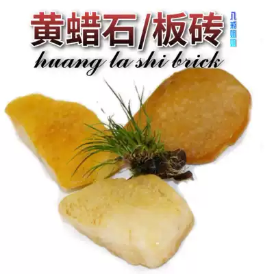 Eight rings sister yellow wax stone tortoise drying table fish tank landscaping aquarium fish cylinder stone landscape stone ornamental ornaments to avoid