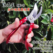 Steel pruning branch scissors Garden tools flower scissors Gardening scissors Pruning scissors Flower branch scissors thick branch scissors